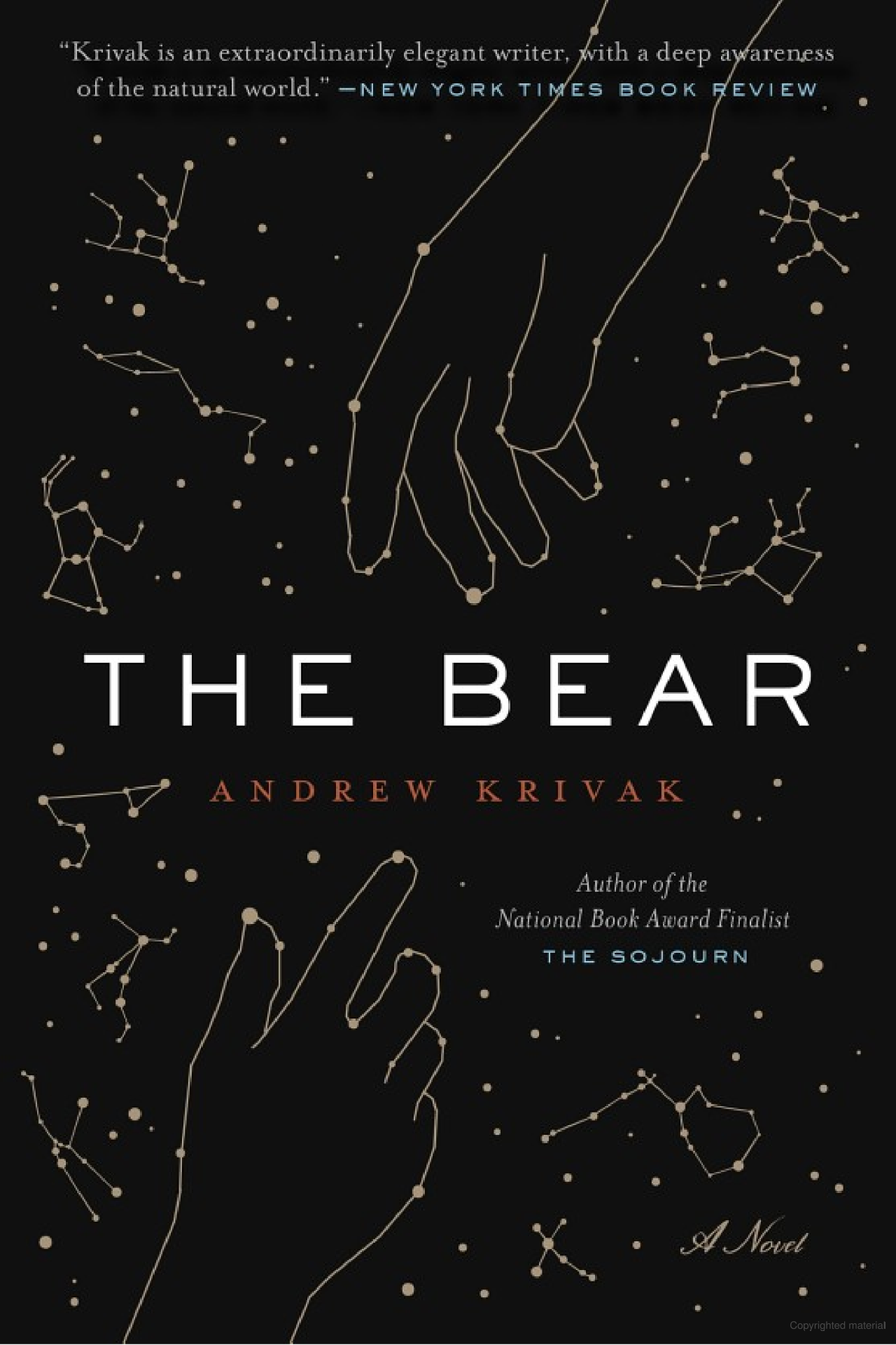The Bear book cover