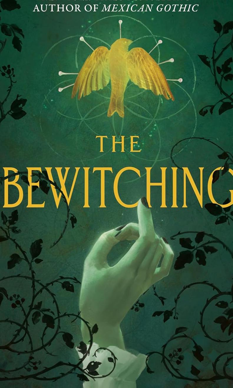 The Bewitching book cover