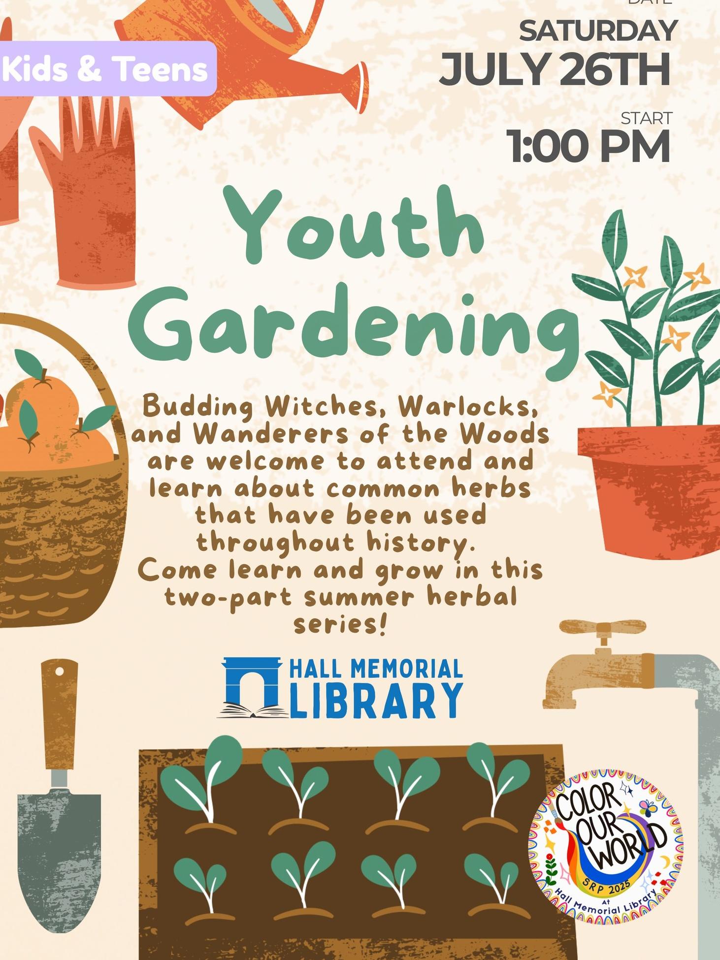 Cartoon Plants and Garden Tools