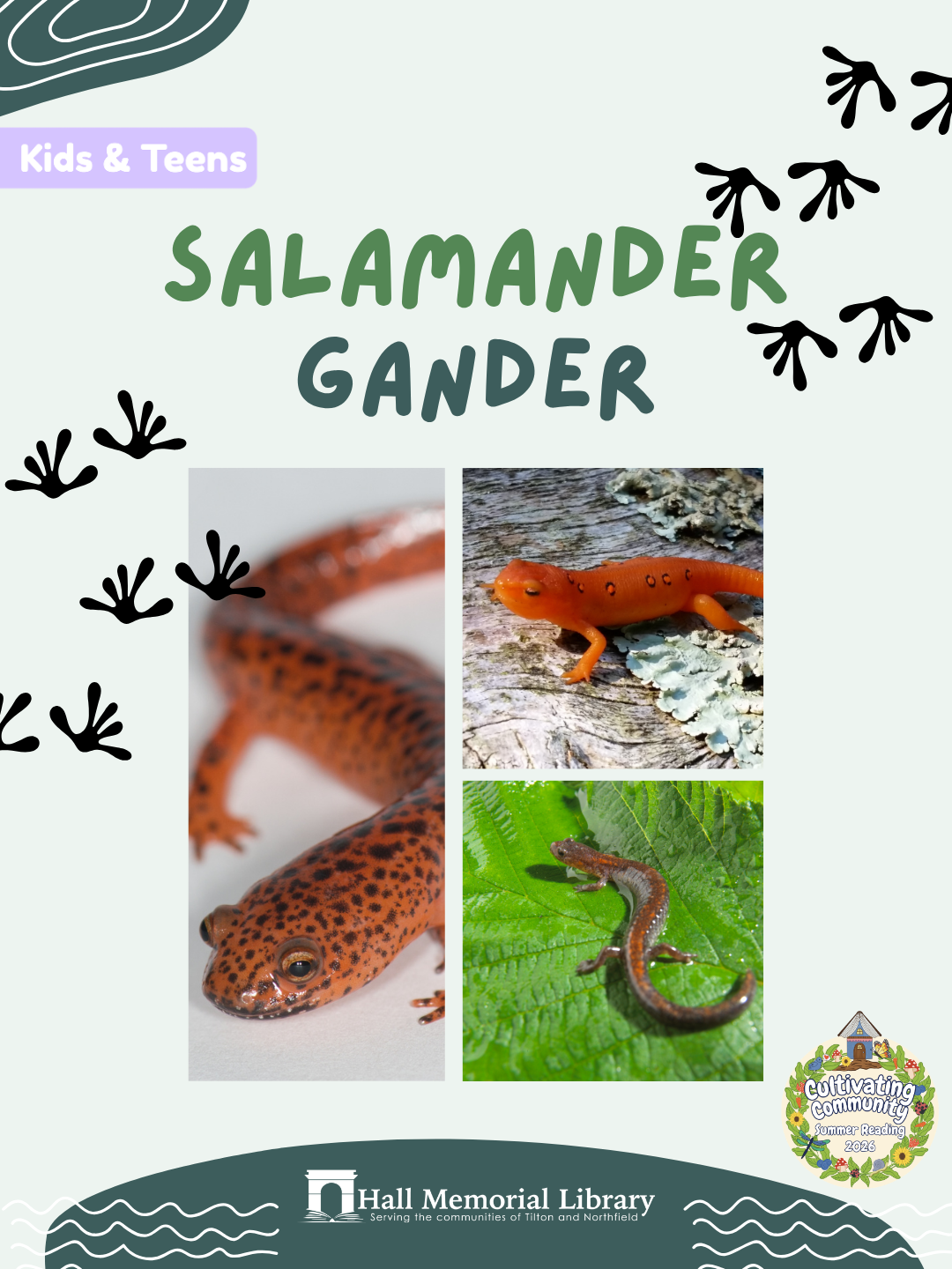 Salamander Gander