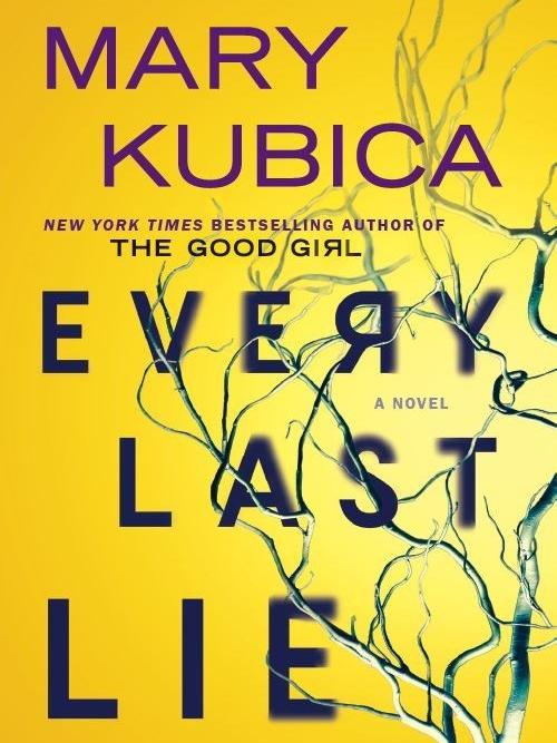 Every last lie book cover