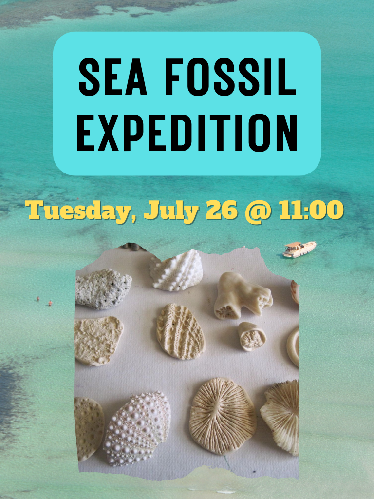 Sea Fossil Expedition