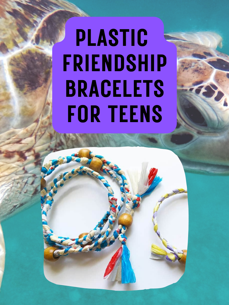 plastic friendship bracelets