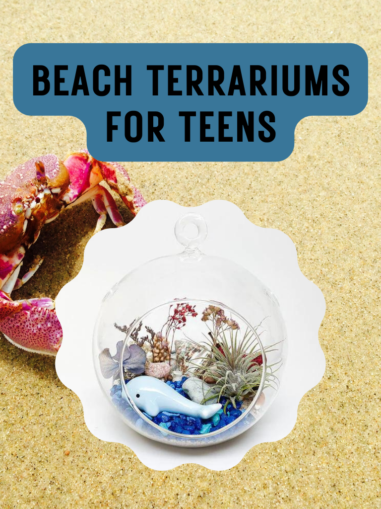 beach terrariums