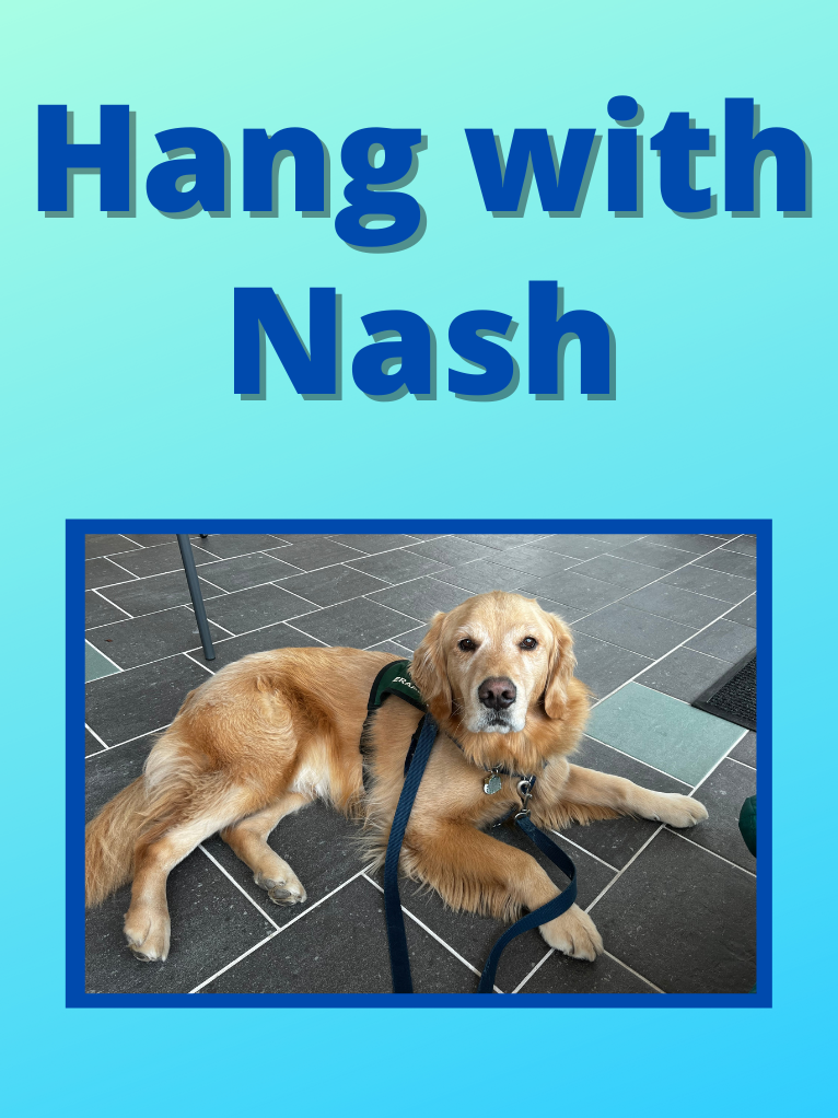 Hang with nash