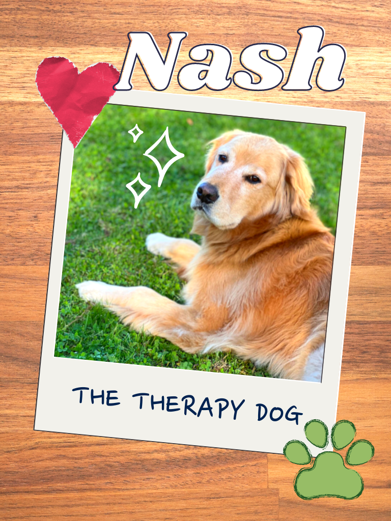 golden retriever laying in the grass, text reads "Nash the therapy dog'
