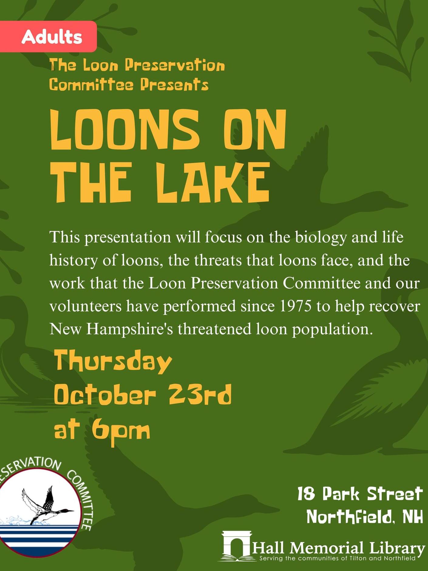 loons on the lake