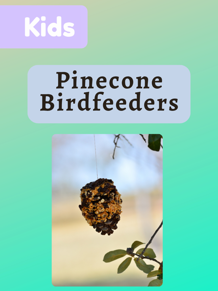 photo of a pinecone birdfeeder. Text says "pinecone birdfeeders"