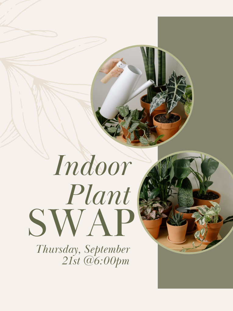 photos of some plants text reads "indoor plant swap"