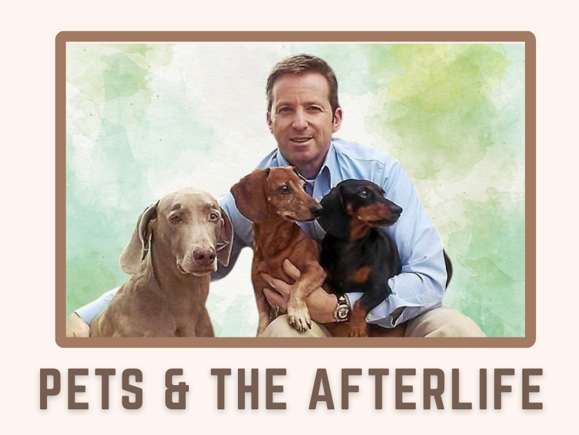 Photo of Rob Gutro and his 4 dogs. Text reads "Pets & the Afterlife"